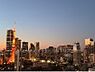 その他：バルコニーから東京タワーを望む、34階ならではの眺望。※眺望は天候等により異なります