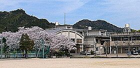 ジュネス吉岡 102 ｜ 徳島県小松島市江田町字腰前182-1（賃貸アパート1R・1階・33.40㎡） その18