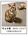 子供部屋：洋室(3)　約5帖