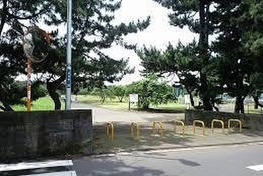 【公園】湘南海...