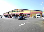 ドラッグストアモリ 小郡七夕店（435m）