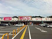 マックスバリュ鳥栖村田店（257m）