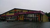 DRUG STORE MORI（ドラッグストアモリ） 中原店（1523m）
