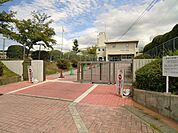河東小学校（800m）