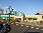 サニー森林都市店（718m）