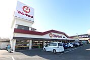 マルキョウ 花見店（736m）