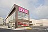 周辺：ディスカウントドラッグコスモス 松崎店（1057m）