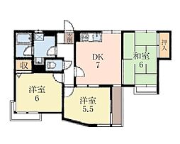 ハイメゾン橋本5