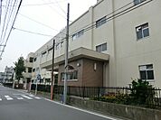 小学校 700m 横浜市立南小学校