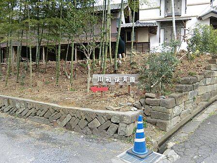幼稚園・保育園 300m 川和保育園