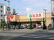 スーパー 900m エコス大横店