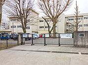 小学校 500m 相模原市立星が丘小学校