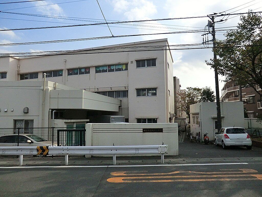 Image 6