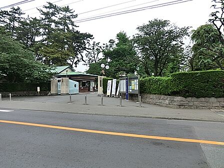 幼稚園・保育園 500m 相模女子大学幼稚部