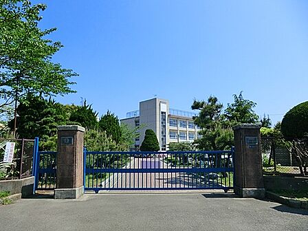 小学校 700m 平塚市立港小学校