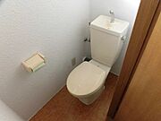 同型タイプ（変転）