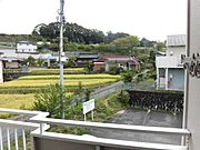 同型タイプ