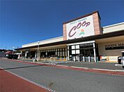 コープぎふ 恵那店（1147m）