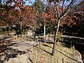 桜守公園の外観