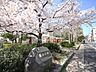 周辺：福住公園の外観
