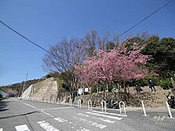 「灘丸山公園」