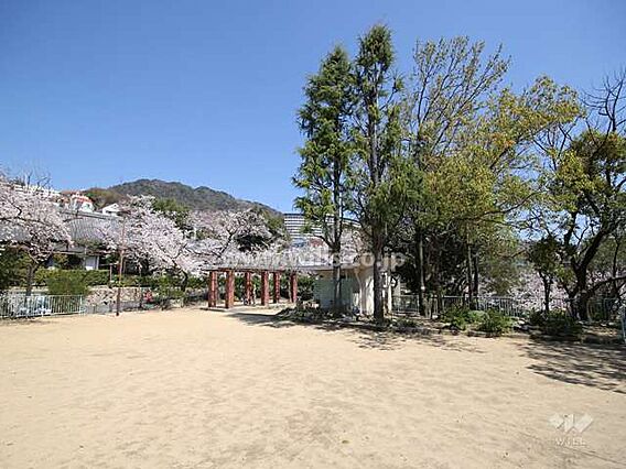 護国神社前公園...