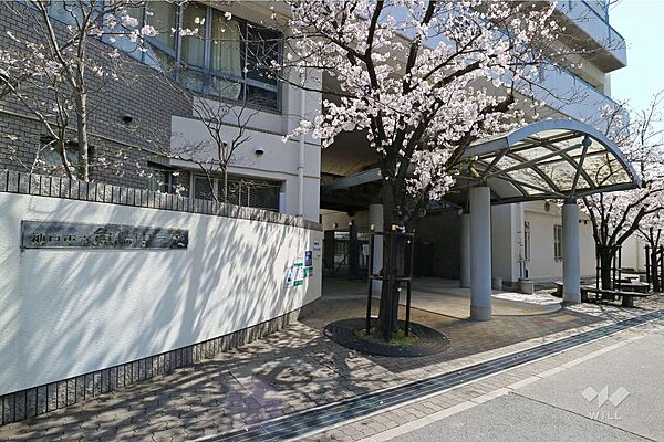 周辺を拡大表示