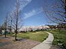 周辺：西郷川河口公園の外観