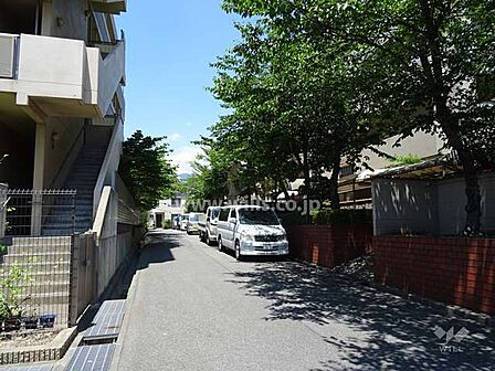 敷地西側の前面道路です。