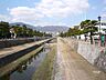 周辺：芦屋川の外観