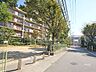 その他：敷地西側の前面道路。敷地隣接して小さな公園があります。