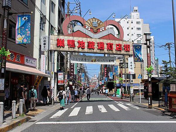 画像19:【その他】巣鴨地蔵通り商店街まで1181ｍ