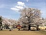 周辺：【公園】北区立南谷端公園まで308ｍ