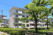 住棟間隔が広くて、緑豊かです。