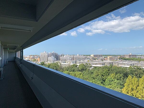 画像3:11階共用廊下からの自然豊かで美しい眺望です。