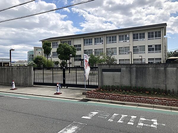 画像7:小学校「堺市立白鷺小学校まで522ｍ」