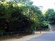 敷地内4（公園1）