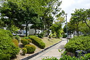 緑に囲まれた敷地内通路です。季節ごとの木々の移り変わりに癒されます。