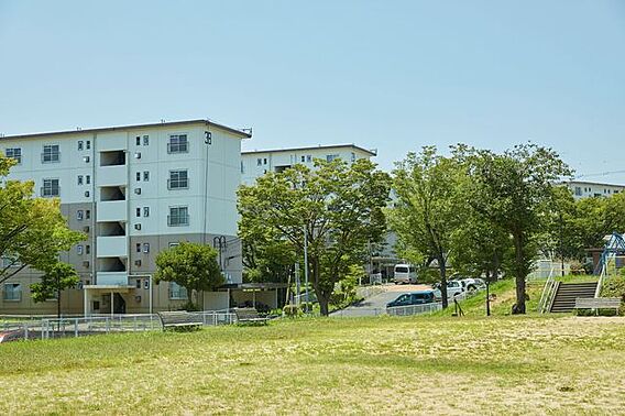 UR都市機構泉南一丘団地28号棟_その他_2