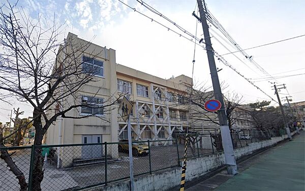 神戸市立高丸小学校（557m）