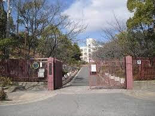 画像19:神戸市立横尾中学校（1312m）
