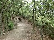 ひよどり越森林公園（2823m）