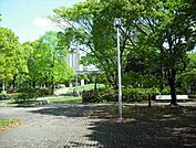 日吉町緑地（309m）
