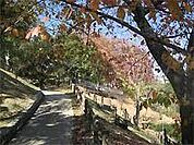 西山公園（830m）