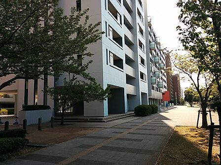 南側は大きな公園ですが、北側もとても広い歩道になっており、周辺も含めてゆとりのある環境