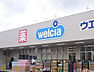 周辺：ウエルシア堺上野芝店
