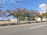 周辺：新潟市立亀田中学校 929m