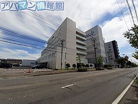 シュティル　ブリーゼＢ  ｜ 新潟県新潟市江南区亀田向陽1丁目（賃貸アパート1LDK・2階・41.98㎡） その17