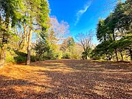 神奈川県足柄下郡箱根町仙石原：物件画像
