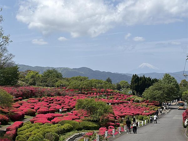 周辺を拡大表示